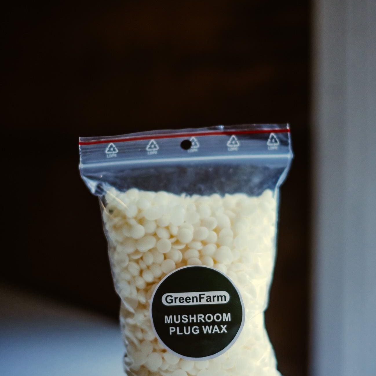 Shiitake 200 Mushroom Plugs Spawn: Grow Your Own Gourmet Mushrooms