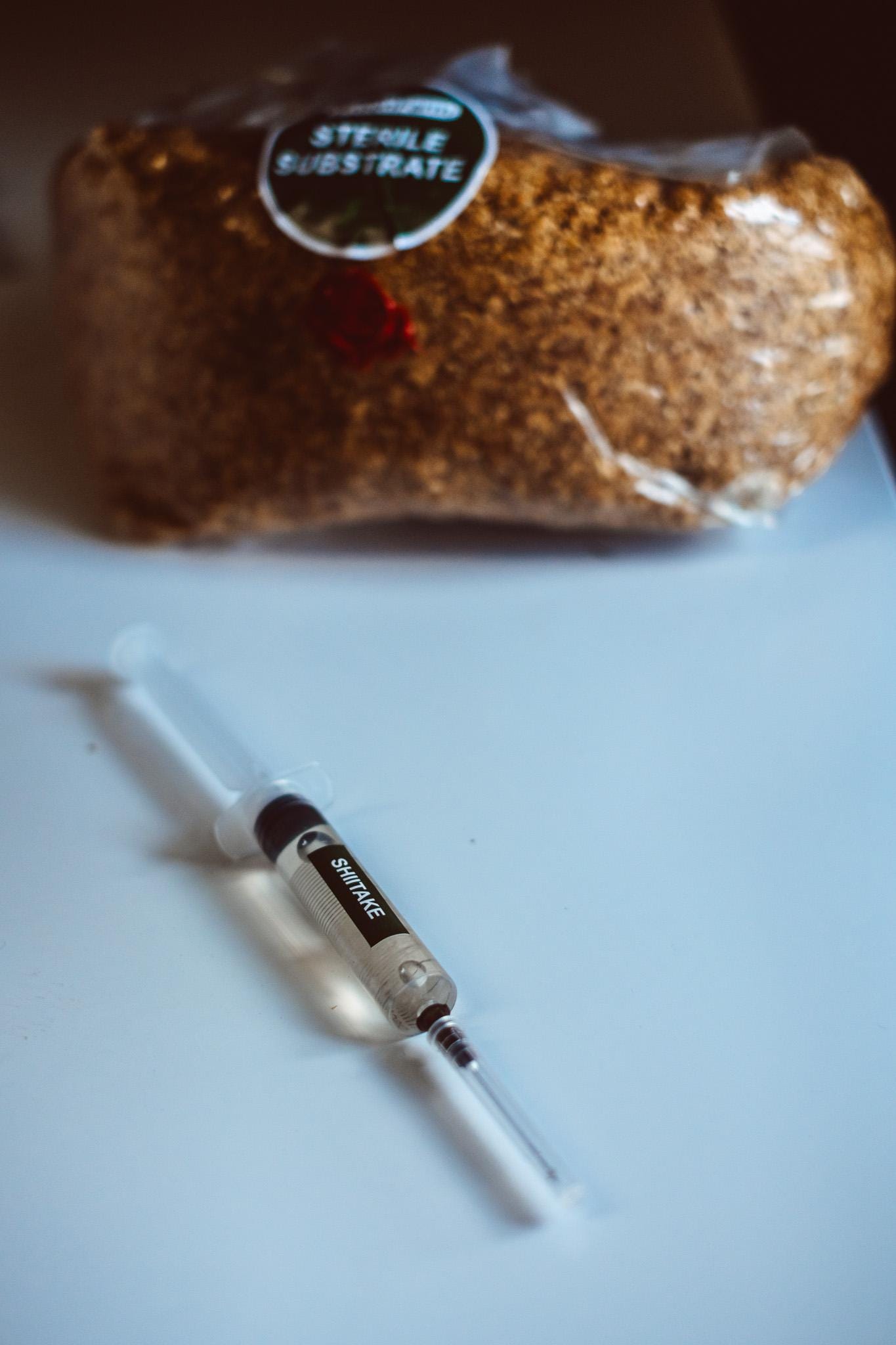 5x Shiitake Liquid Culture – 10ml Syringes | Lentinula edodes | Bulk Mushroom Mycelium for Growing