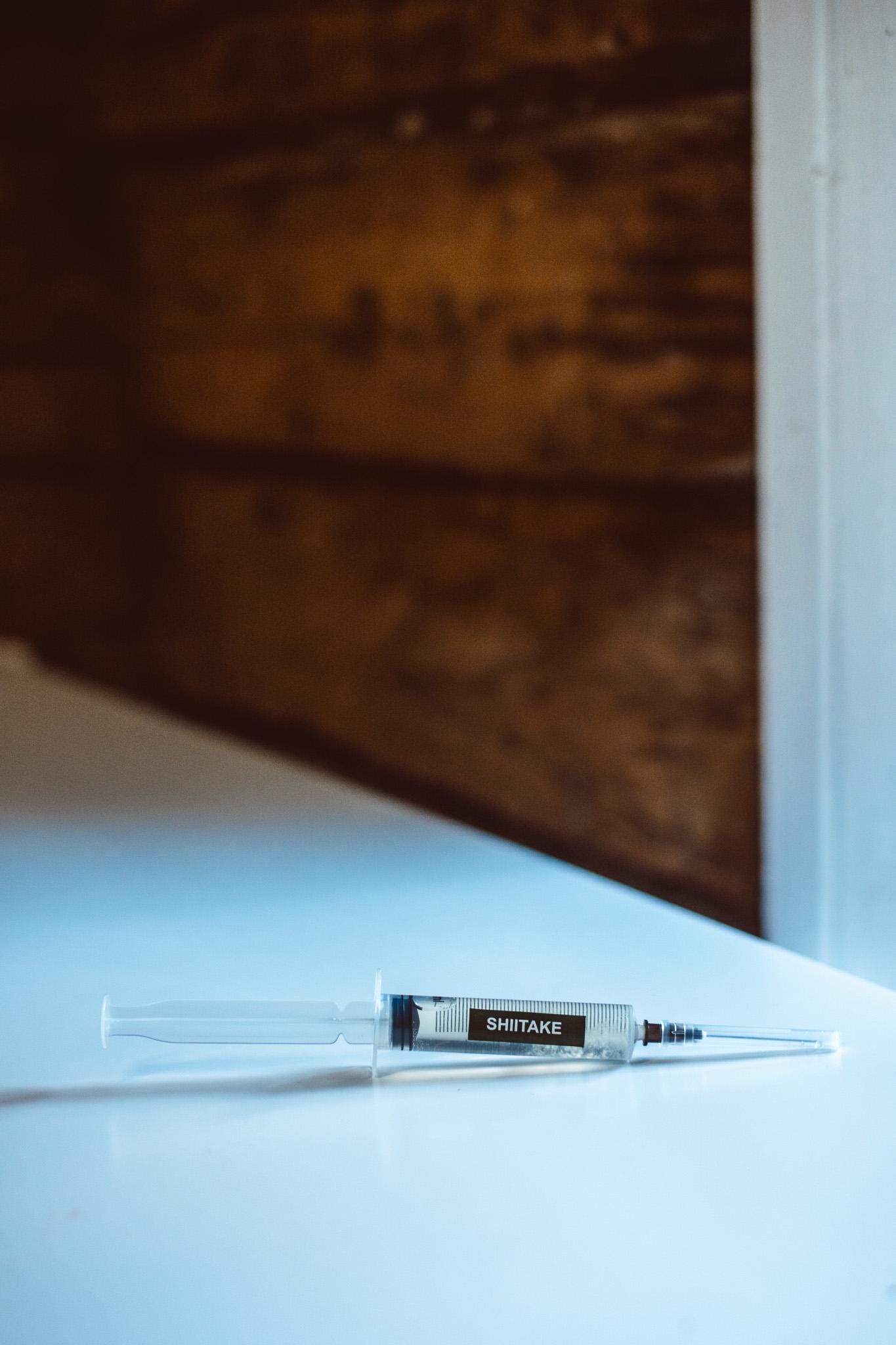 3x Shiitake Liquid Culture – 10ml Syringes | Lentinula edodes | Gourmet Mushroom Mycelium for Home Growing