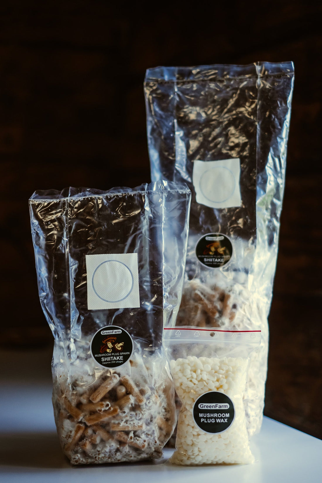 How to Choose a Reliable Mushroom Spawn Supplier