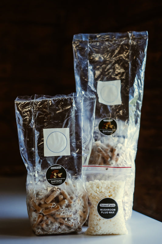 Where to Buy Shiitake Plug Spawn in Europe