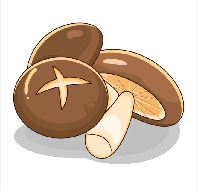 Shiitake Mushroom Cultivation Guide in Europe (Using Plug Spawn)