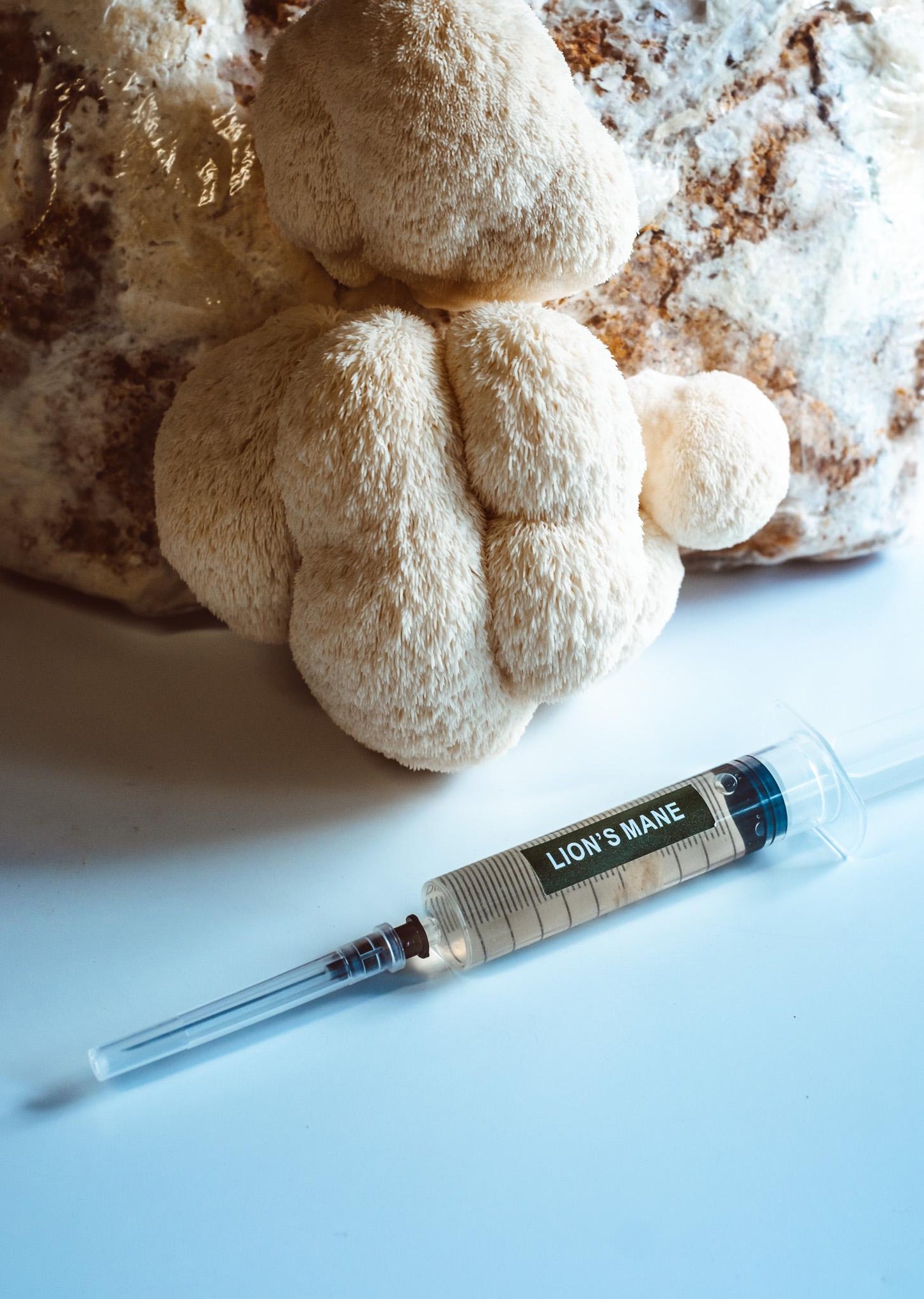 5x Lion’s Mane Liquid Culture – 10ml Syringes | Hericium erinaceus | Mushroom Mycelium for Home Growing