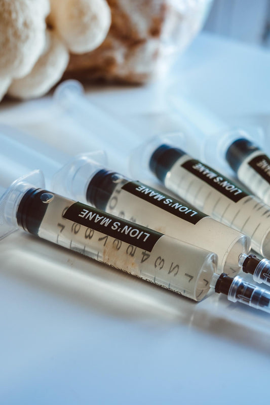 5x Lion’s Mane Liquid Culture – 10ml Syringes | Hericium erinaceus | Mushroom Mycelium for Home Growing