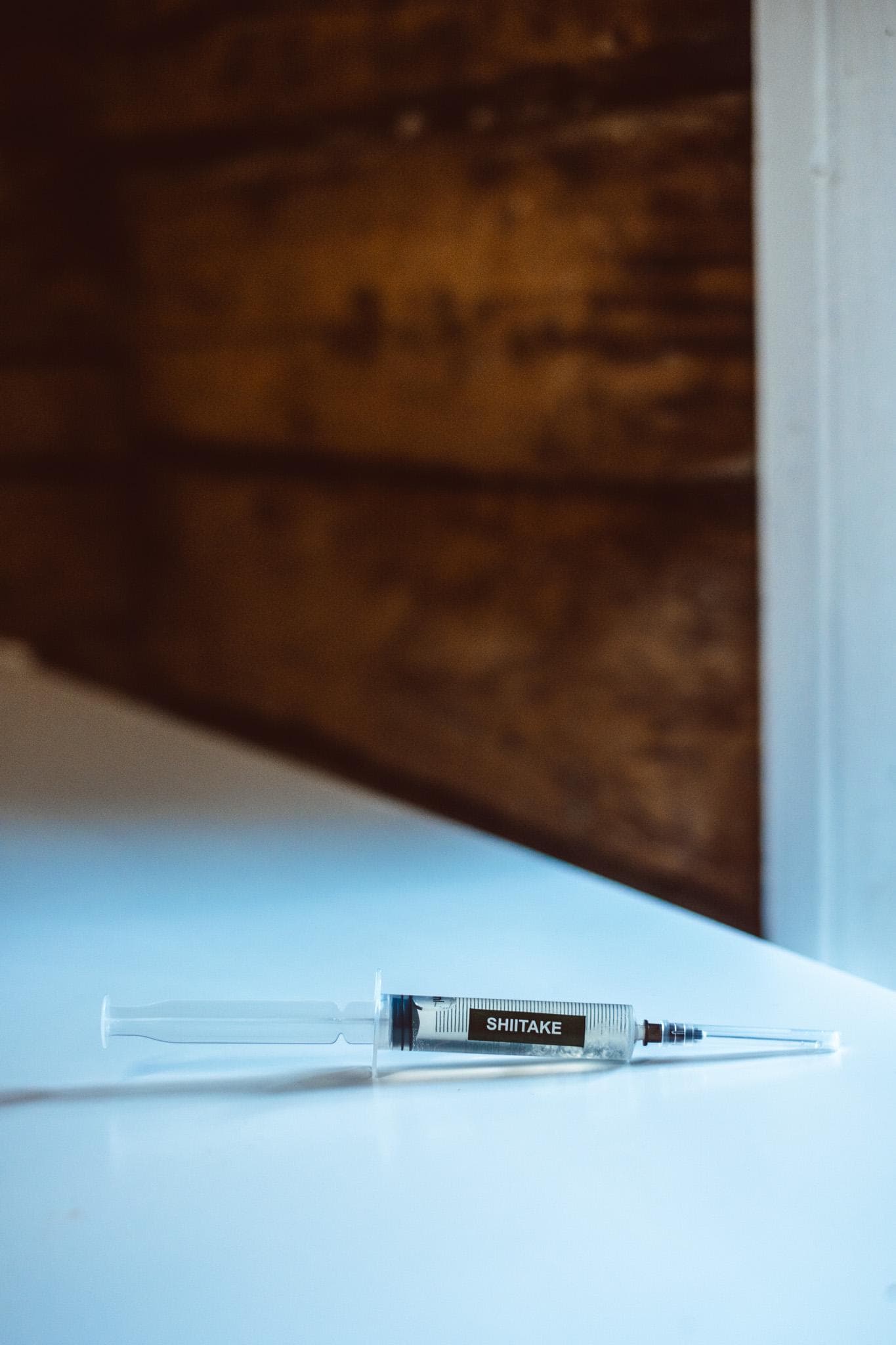 5x Shiitake Liquid Culture – 10ml Syringes | Lentinula edodes | Bulk Mushroom Mycelium for Growing