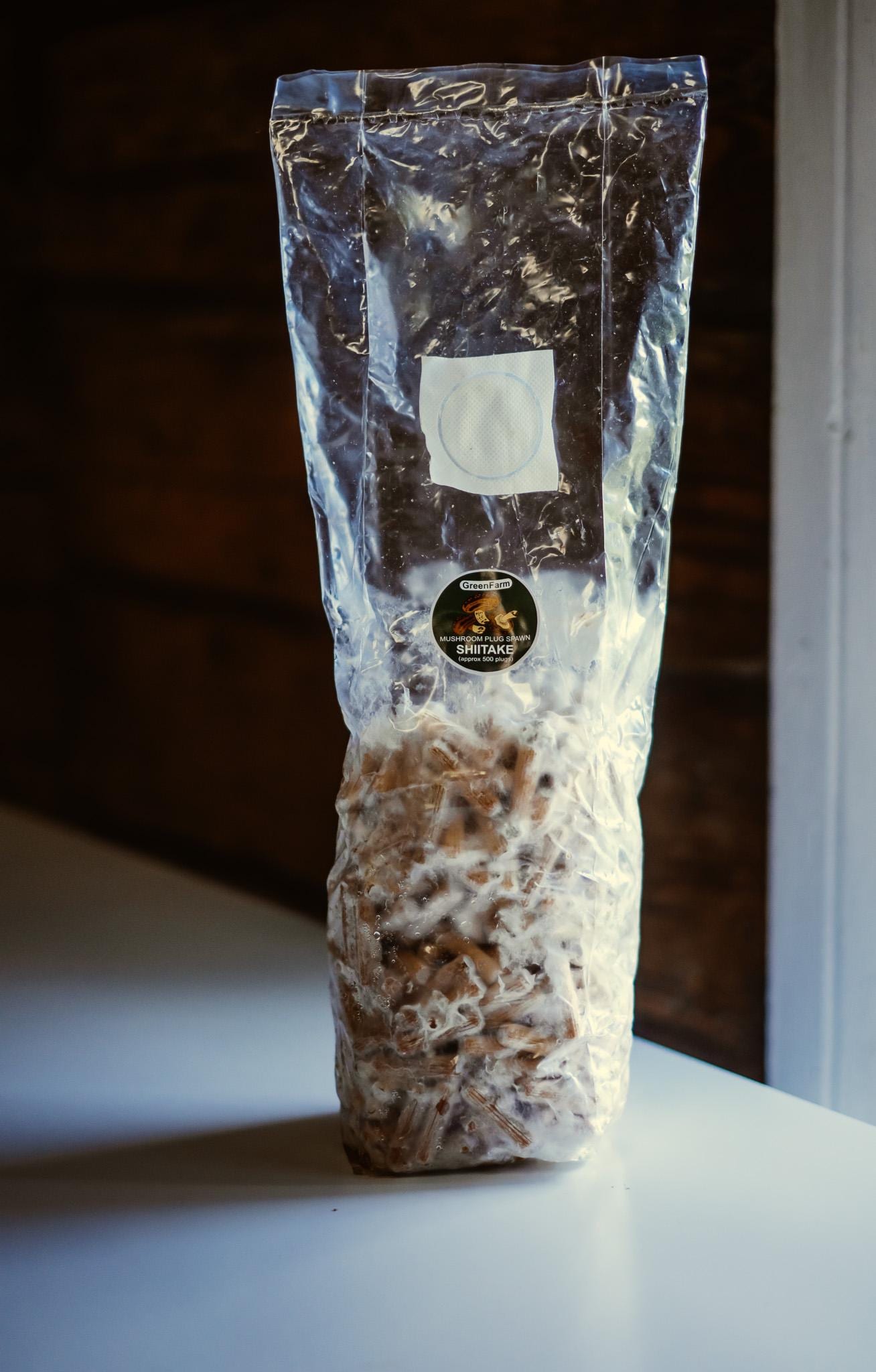 Shiitake 200 Mushroom Plugs Spawn: Grow Your Own Gourmet Mushrooms