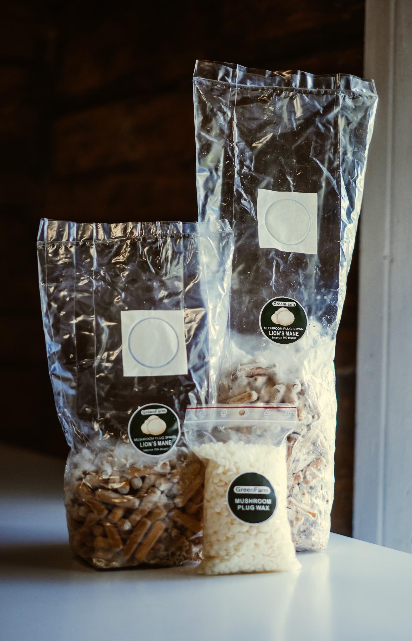 Lion's Mane 500 Mushroom Plugs Spawn| Grow Your Own Mushrooms | Hardwood Inoculation Kit