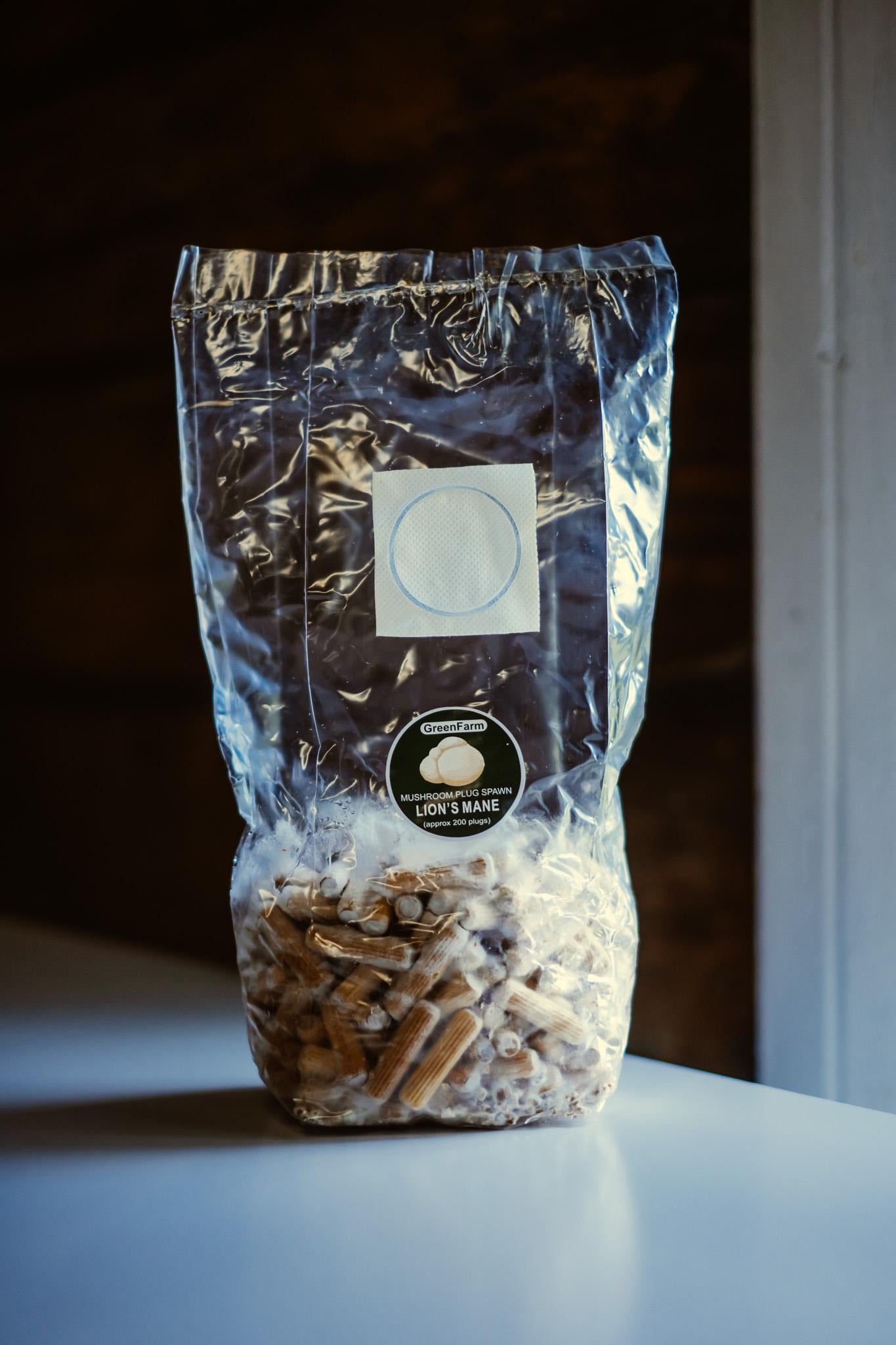 Lion's Mane 200 Mushroom Plug Spawn: Grow Your Own Hericium erinaceus