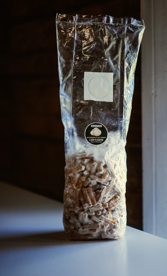 Lion's Mane 500 Mushroom Plugs Spawn| Grow Your Own Mushrooms | Hardwood Inoculation Kit
