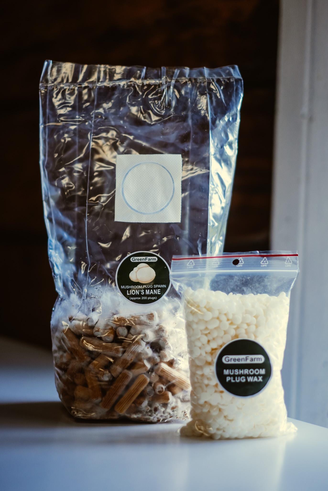 Lion's Mane 500 Mushroom Plugs Spawn| Grow Your Own Mushrooms | Hardwood Inoculation Kit