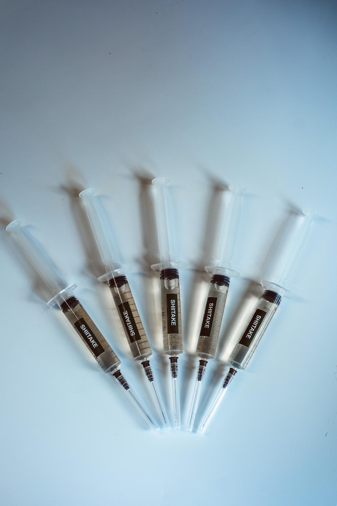 5x Shiitake Liquid Culture – 10ml Syringes | Lentinula edodes | Bulk Mushroom Mycelium for Growing