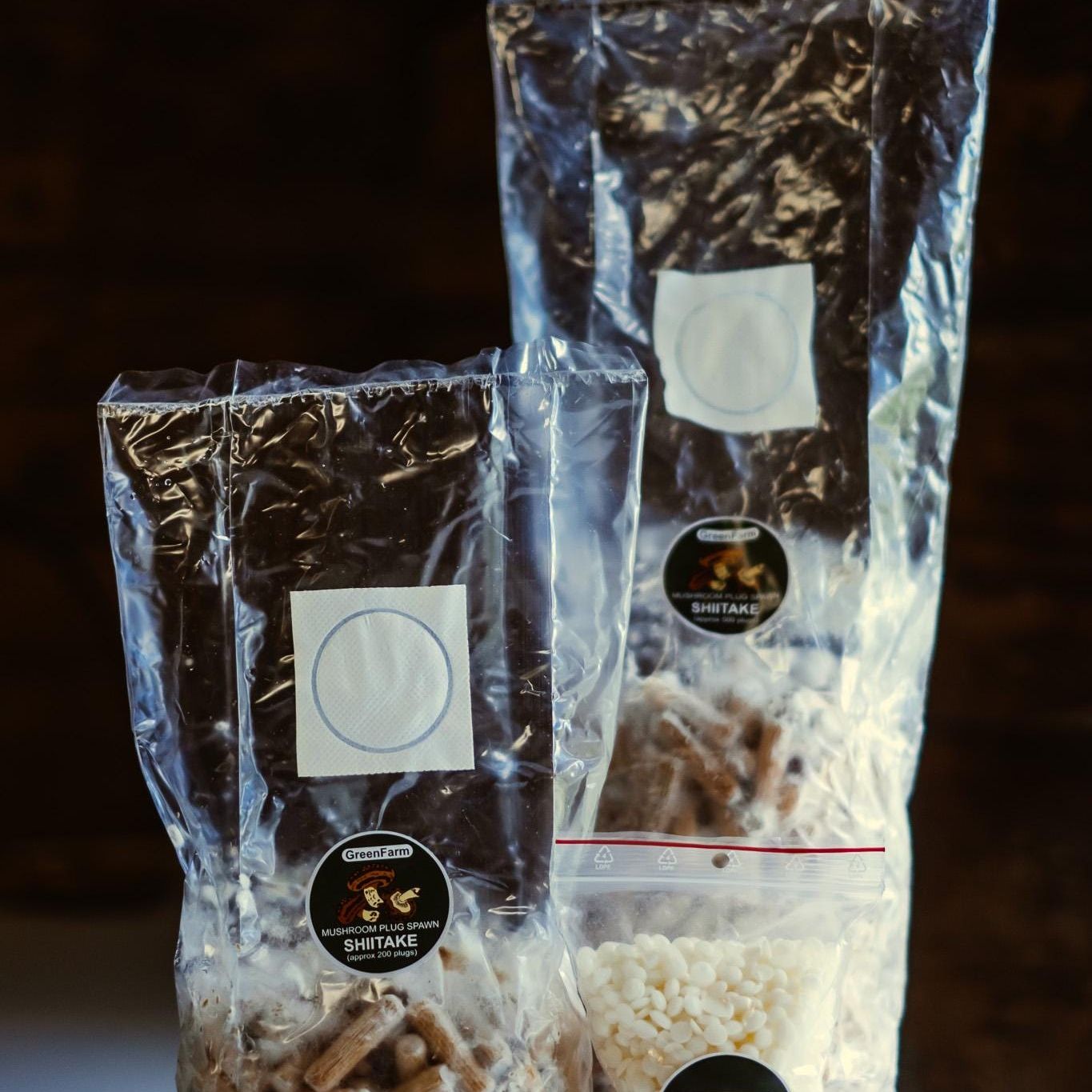 Shiitake Mushroom Plug Spawn 500 Plugs | Grow Your Own Mushrooms | Hardwood Log Inoculation