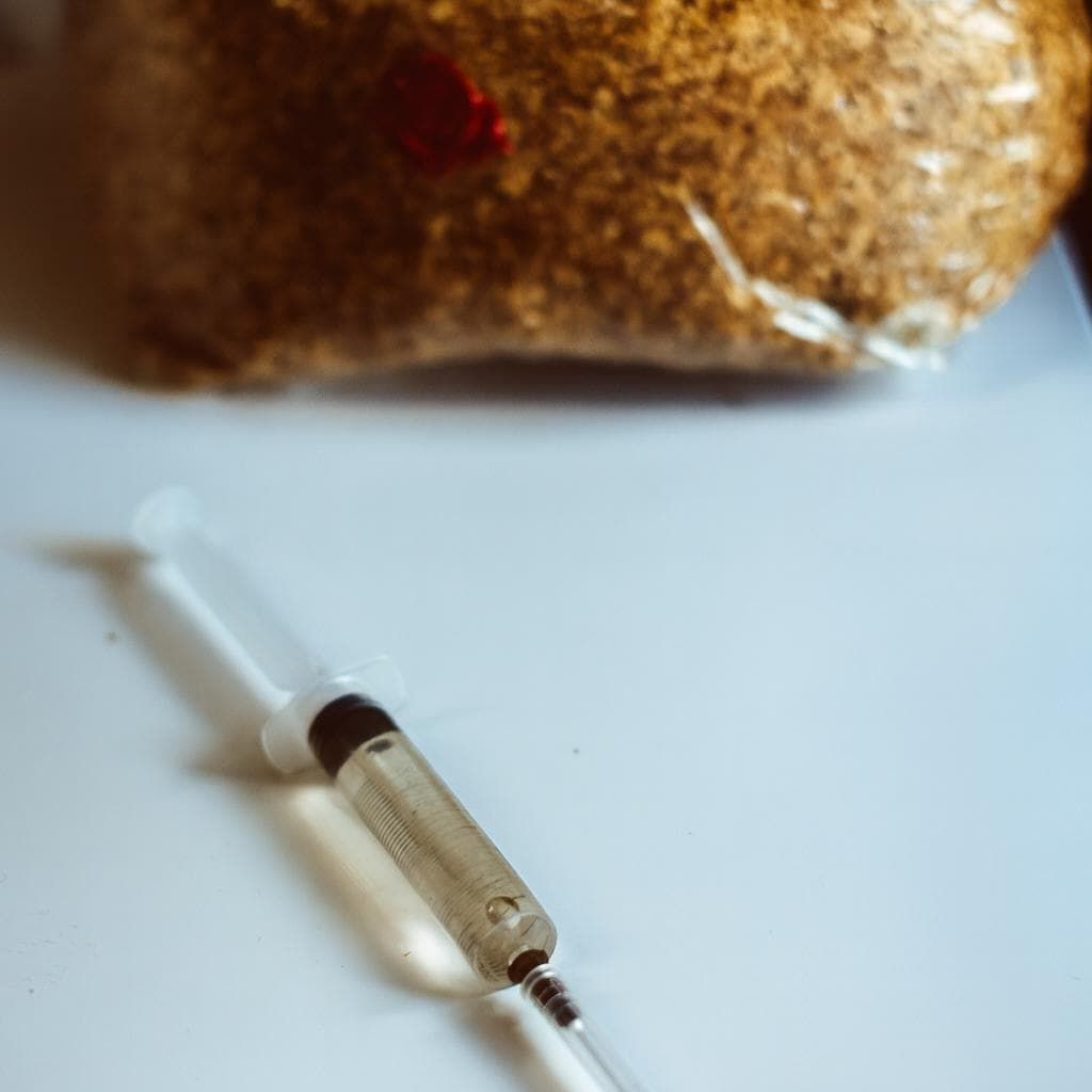 Chicken of the Woods Liquid Culture 10x10ml | Laetiporus sulphureus | Gourmet Mushroom Grow Kit Fungi Beginner Home Mushroom Farming