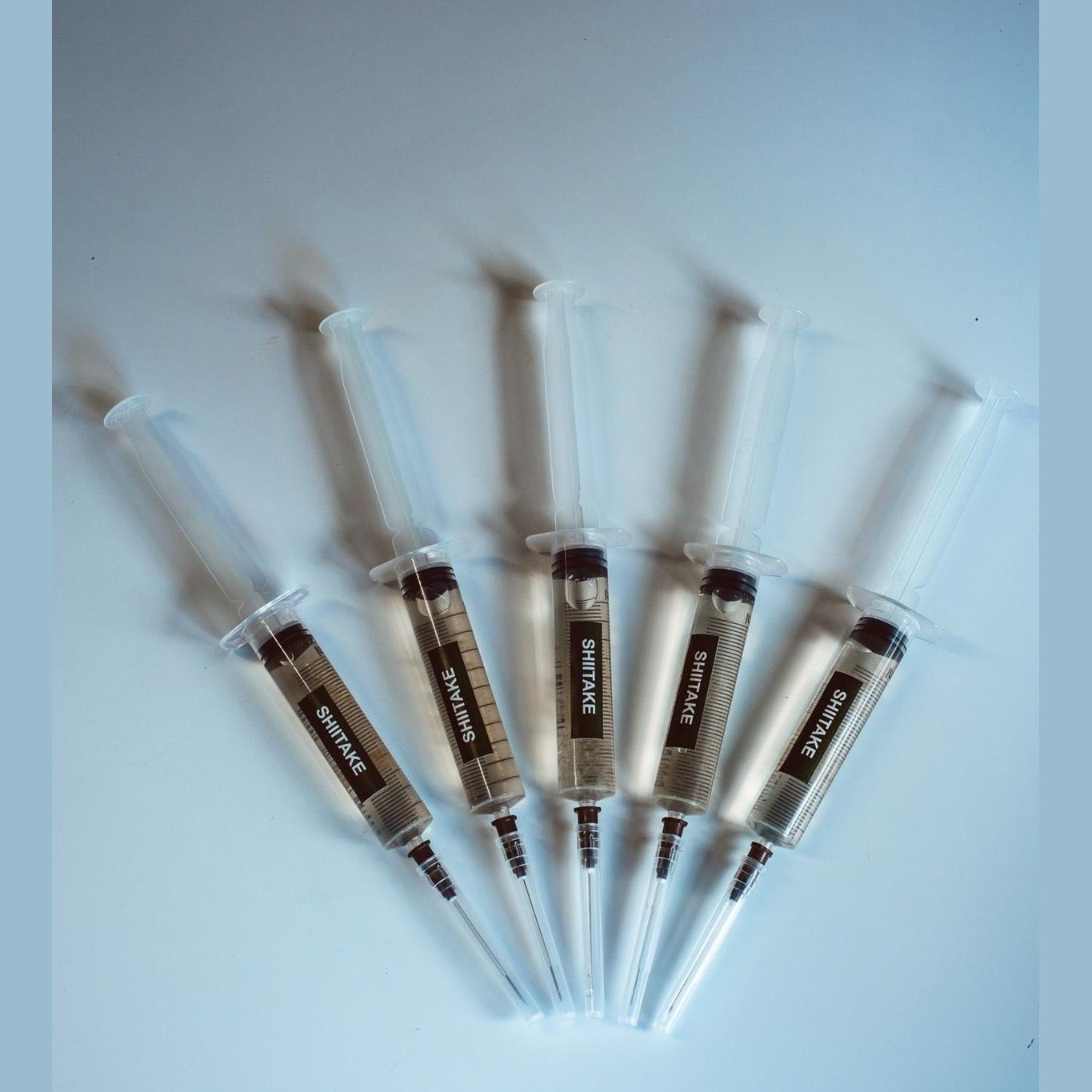 Shiitake Liquid Culture Syringes 10x10ml | Lentinula Edodes | Bulk Mushroom Mycelium for Growing