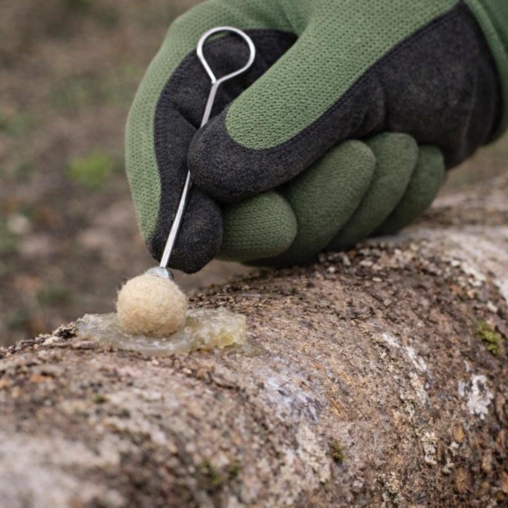 Shiitake Mushroom Plug Spawn 500 Plugs | Grow Your Own Mushrooms | Hardwood Log Inoculation