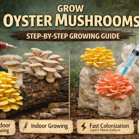 Grow Oyster Mushrooms | Complete Indoor & Outdoor Guide | Logs, Straw, Liquid Culture | 41-Page PDF