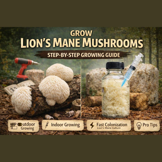 Grow Lion’s Mane Mushrooms | Complete Log & Liquid Culture Guide | 41-Page PDF | Instant Download